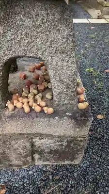 大藤神社(京都府)