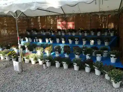 間々田八幡宮のその他建物