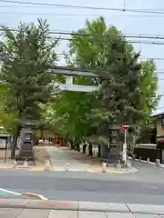 葛飾八幡宮の鳥居