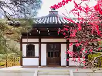 龍安寺の本殿・本堂