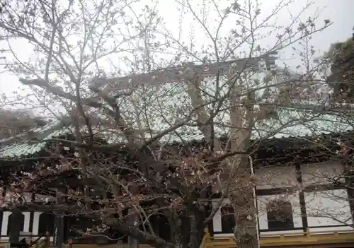 光明寺のその他建物