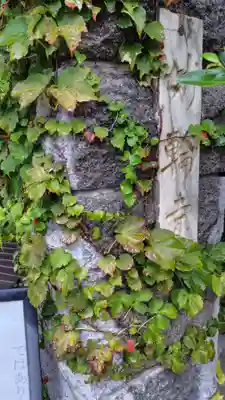 妙輪寺(神奈川県)