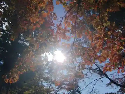 華厳寺(岐阜県)