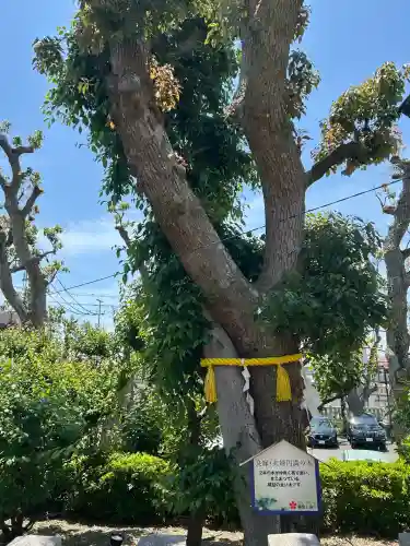 綱敷天満宮の自然