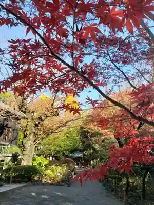 乃木神社(東京都)
