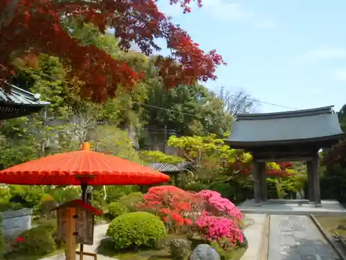 海蔵寺の庭園