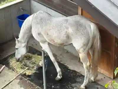 鹿児島神宮の{uncategorized: "未分類", other: "その他", undefined: "問題あり", building: "その他建物", grave: "お墓", sacred_gate: "鳥居", guardian: "狛犬", statue: "像", buddha: "仏像", history: "歴史", nature: "自然", garden: "庭園", animal: "動物", pagoda: "塔", temizu: "手水舎", mountain_gate: "山門・神門", sanctuary: "本殿・本堂", subordinate: "末社・摂社", art: "芸術", scenery: "景色", jizo: "地蔵", ema: "絵馬", goshuin: "御朱印", omikuji: "おみくじ", items: "授与品その他", amulet: "お守り", goshuincho: "御朱印帳", eats: "食事", festival: "お祭り", votive_dance: "神楽", shichigosan: "七五三参", wedding: "結婚式", experience: "体験その他", initially: "初詣", around: "周辺", anti_infection: "感染症対策"}