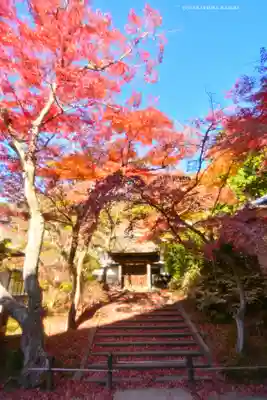 円覚寺(神奈川県)