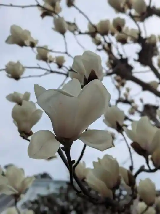 丹生大師 神宮寺(三重県)