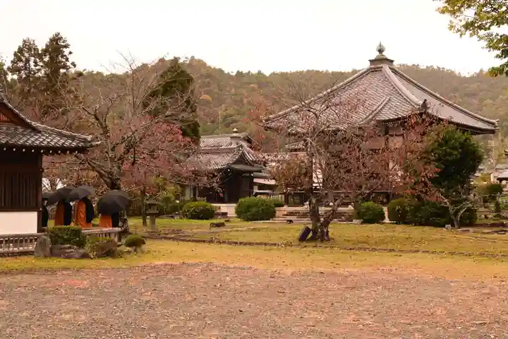 大覚寺(京都府)