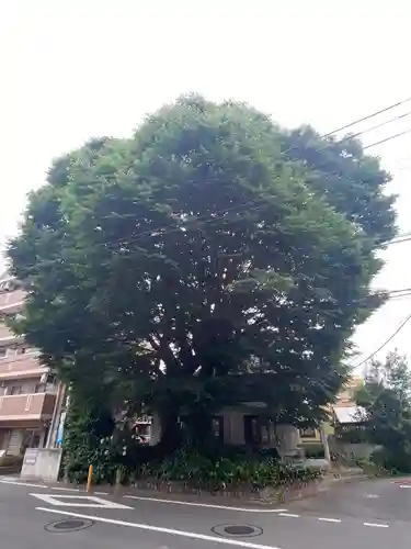 小野神社(東京都)