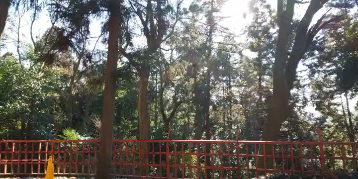 伏見稲荷大社(京都府)