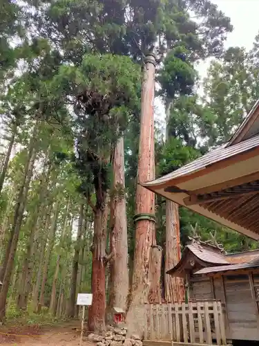 高倉神社(福島県)