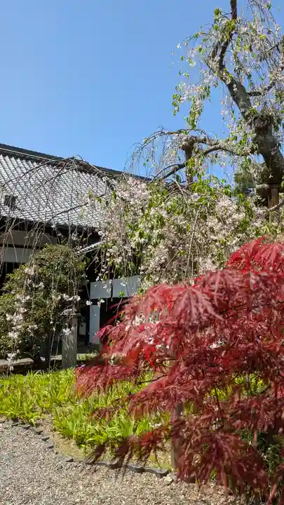 得浄明院(善光寺別院)(京都府)