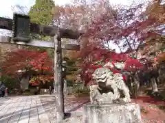 古峯神社(栃木県)