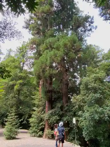 一之宮貫前神社(群馬県)