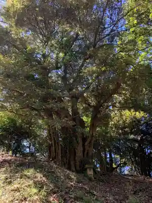 熊野神社(千葉県)