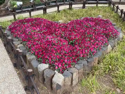 川越八幡宮の{uncategorized: "未分類", other: "その他", undefined: "問題あり", building: "その他建物", grave: "お墓", sacred_gate: "鳥居", guardian: "狛犬", statue: "像", buddha: "仏像", history: "歴史", nature: "自然", garden: "庭園", animal: "動物", pagoda: "塔", temizu: "手水舎", mountain_gate: "山門・神門", sanctuary: "本殿・本堂", subordinate: "末社・摂社", art: "芸術", scenery: "景色", jizo: "地蔵", ema: "絵馬", goshuin: "御朱印", omikuji: "おみくじ", items: "授与品その他", amulet: "お守り", goshuincho: "御朱印帳", eats: "食事", festival: "お祭り", votive_dance: "神楽", shichigosan: "七五三参", wedding: "結婚式", experience: "体験その他", initially: "初詣", around: "周辺", anti_infection: "感染症対策"}
