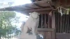 春日神社の狛犬