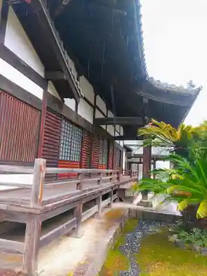 長母寺の本殿・本堂