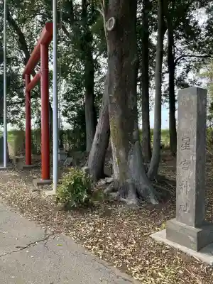 五分一星宮神社の{uncategorized: "未分類", other: "その他", undefined: "問題あり", building: "その他建物", grave: "お墓", sacred_gate: "鳥居", guardian: "狛犬", statue: "像", buddha: "仏像", history: "歴史", nature: "自然", garden: "庭園", animal: "動物", pagoda: "塔", temizu: "手水舎", mountain_gate: "山門・神門", sanctuary: "本殿・本堂", subordinate: "末社・摂社", art: "芸術", scenery: "景色", jizo: "地蔵", ema: "絵馬", goshuin: "御朱印", omikuji: "おみくじ", items: "授与品その他", amulet: "お守り", goshuincho: "御朱印帳", eats: "食事", festival: "お祭り", votive_dance: "神楽", shichigosan: "七五三参", wedding: "結婚式", experience: "体験その他", initially: "初詣", around: "周辺", anti_infection: "感染症対策"}