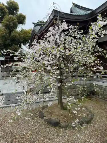 辛國神社の{uncategorized: "未分類", other: "その他", undefined: "問題あり", building: "その他建物", grave: "お墓", sacred_gate: "鳥居", guardian: "狛犬", statue: "像", buddha: "仏像", history: "歴史", nature: "自然", garden: "庭園", animal: "動物", pagoda: "塔", temizu: "手水舎", mountain_gate: "山門・神門", sanctuary: "本殿・本堂", subordinate: "末社・摂社", art: "芸術", scenery: "景色", jizo: "地蔵", ema: "絵馬", goshuin: "御朱印", omikuji: "おみくじ", items: "授与品その他", amulet: "お守り", goshuincho: "御朱印帳", eats: "食事", festival: "お祭り", votive_dance: "神楽", shichigosan: "七五三参", wedding: "結婚式", experience: "体験その他", initially: "初詣", around: "周辺", anti_infection: "感染症対策"}