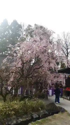 北野天満宮(京都府)