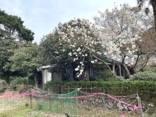 浄得寺(三重県)