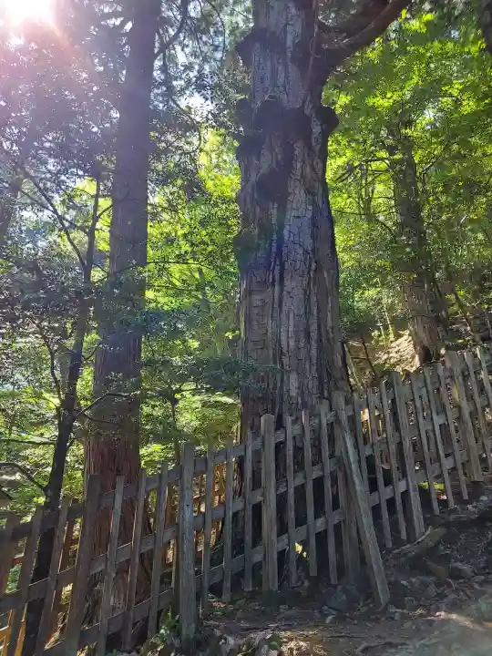玉置神社の{uncategorized: "未分類", other: "その他", undefined: "問題あり", building: "その他建物", grave: "お墓", sacred_gate: "鳥居", guardian: "狛犬", statue: "像", buddha: "仏像", history: "歴史", nature: "自然", garden: "庭園", animal: "動物", pagoda: "塔", temizu: "手水舎", mountain_gate: "山門・神門", sanctuary: "本殿・本堂", subordinate: "末社・摂社", art: "芸術", scenery: "景色", jizo: "地蔵", ema: "絵馬", goshuin: "御朱印", omikuji: "おみくじ", items: "授与品その他", amulet: "お守り", goshuincho: "御朱印帳", eats: "食事", festival: "お祭り", votive_dance: "神楽", shichigosan: "七五三参", wedding: "結婚式", experience: "体験その他", initially: "初詣", around: "周辺", anti_infection: "感染症対策"}