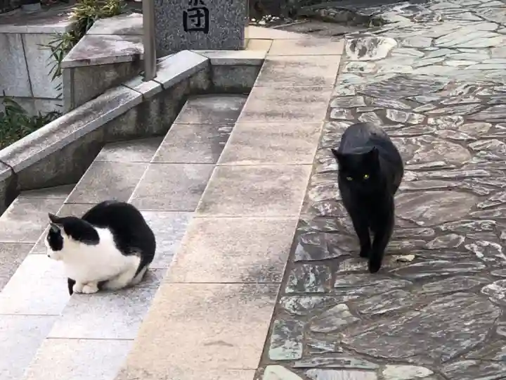 王子神社の動物