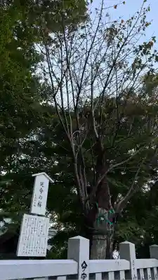 函館八幡宮(北海道)