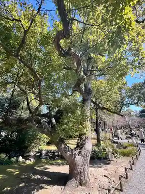 城南宮(京都府)