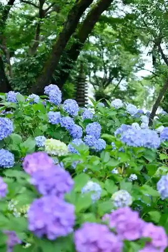 妙楽寺(神奈川県)