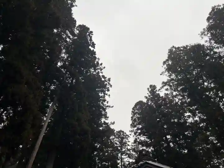 大宮温泉神社(栃木県)