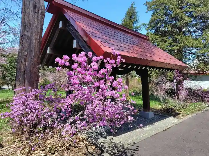 江部乙神社(北海道)