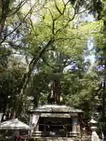 武速神社の本殿・本堂