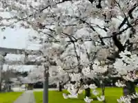守りの神 藤基神社(新潟県)