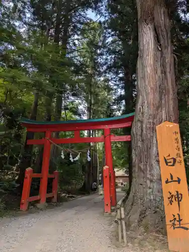 中尊寺(岩手県)