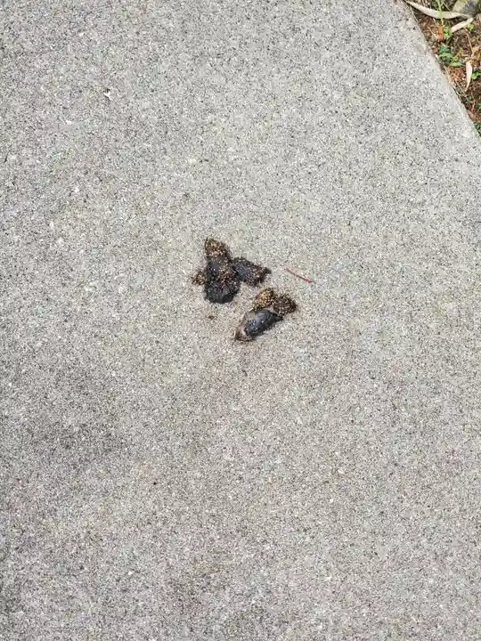 本願寺(栃木県)