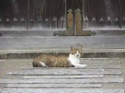 智恩寺(京都府)