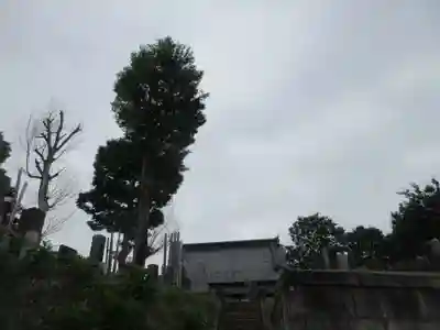 慈眼寺(埼玉県)