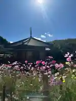 安倍文殊院 (奈良県)