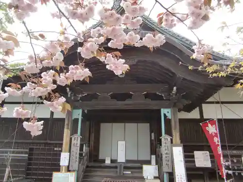 村雲御所瑞龍寺門跡の本殿