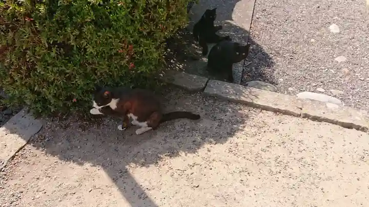 妙雲寺(岐阜県)