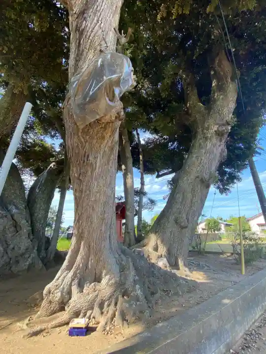 道路衢神(茨城県)