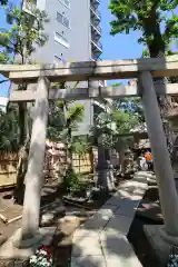 高円寺氷川神社の鳥居