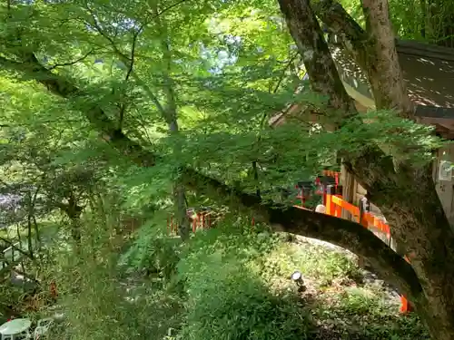 貴船神社の自然
