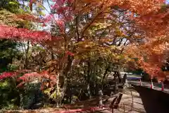 三春大神宮の自然