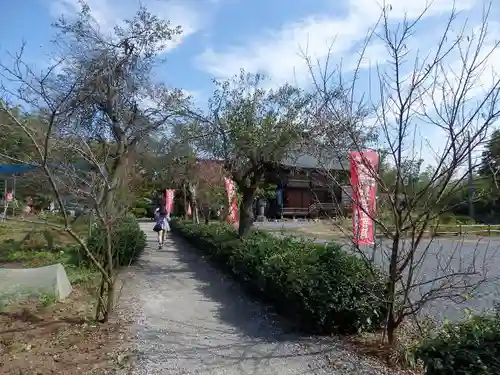 永福寺　童子堂の自然