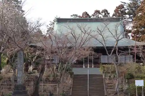 本土寺の本殿・本堂